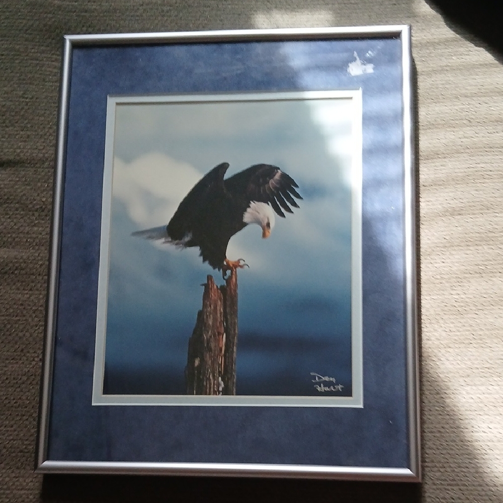 Framed Bald Eagle Wall Art in Blue Mat KS1PM-1/2